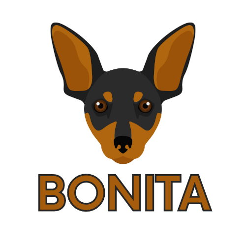 Bonita BDO ESG KOBiZE